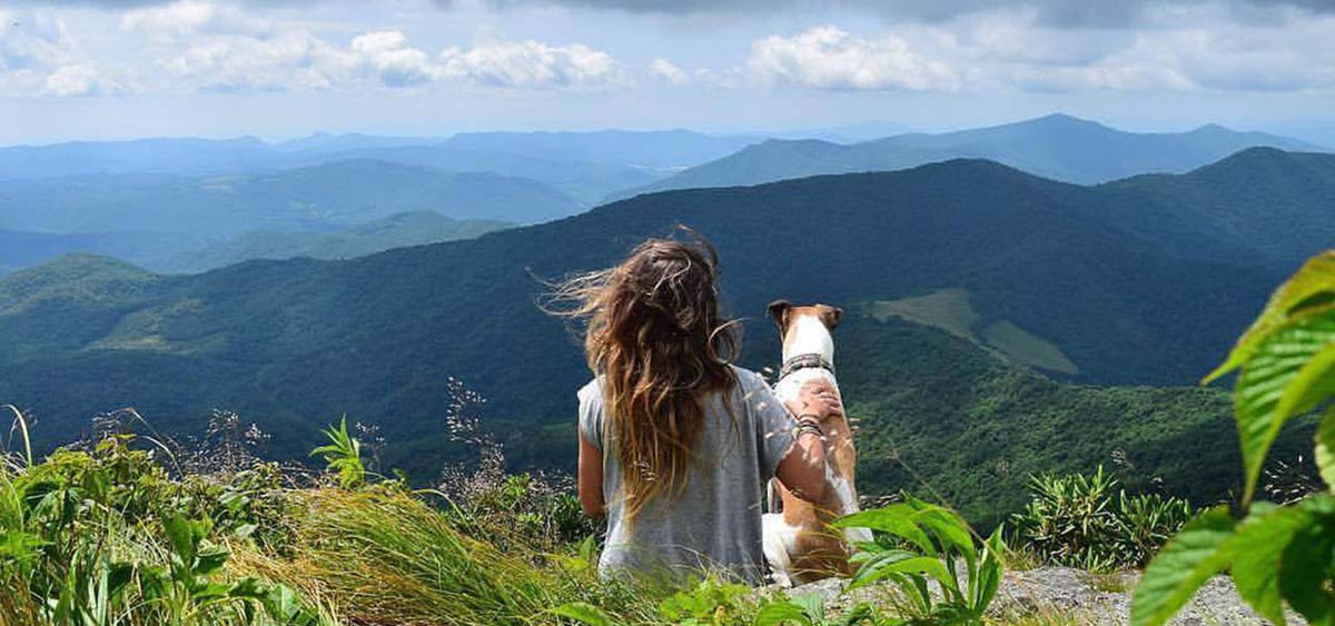 hike with your dog