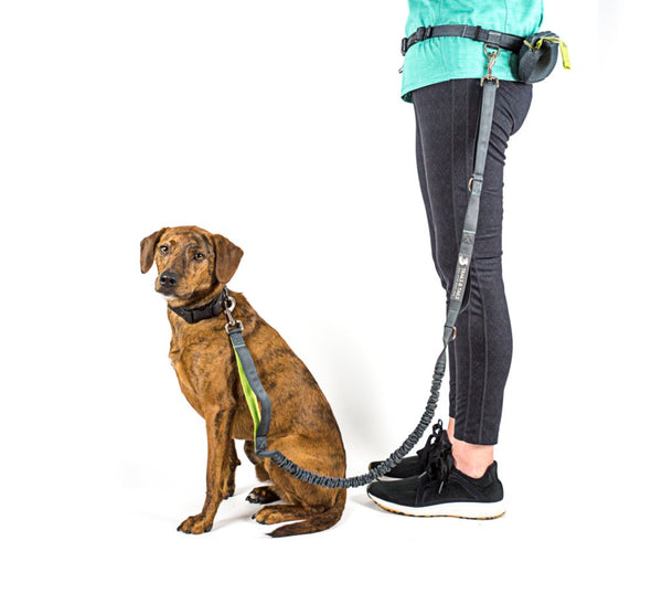 Heart to Tail Hands Free Leash with Pouch