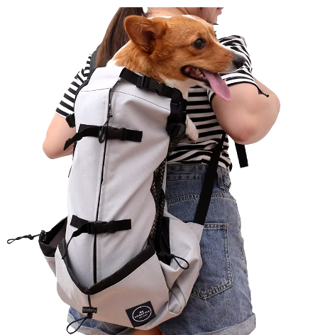 Hiking Dog Back Pack