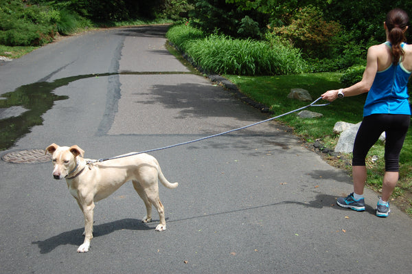 Red & White Rope Dog Leash, 6 foot