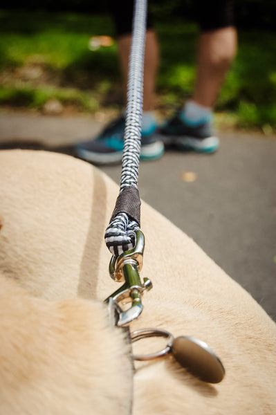 Black & White Rope Dog Leash, 6 foot length