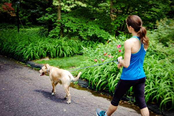 Black & White Rope Dog Leash, 6 foot length